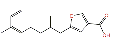 (5Z)-5-(2,6-Dimethylocta-5,7-dienyl)-3-furan-carboxylic acid
